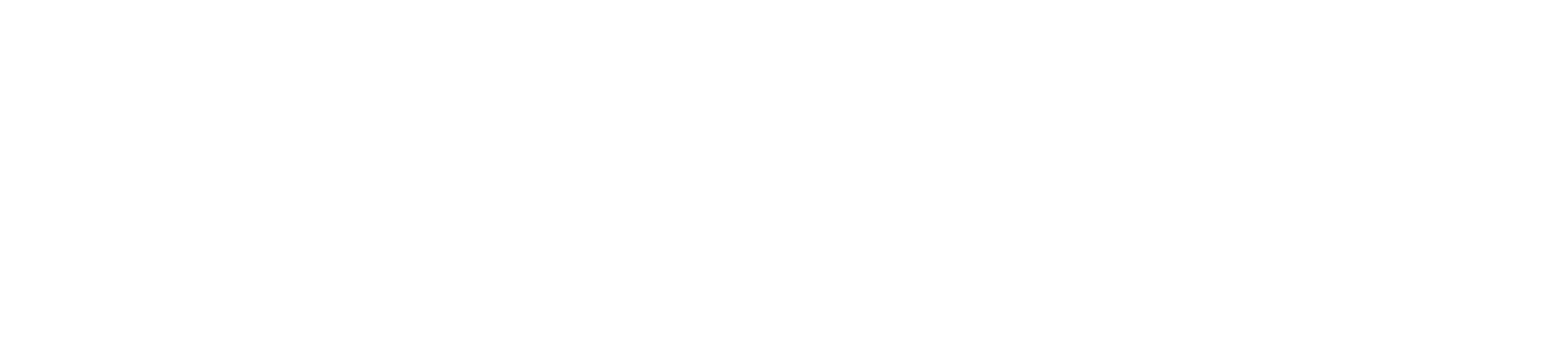 BigCommerce partner